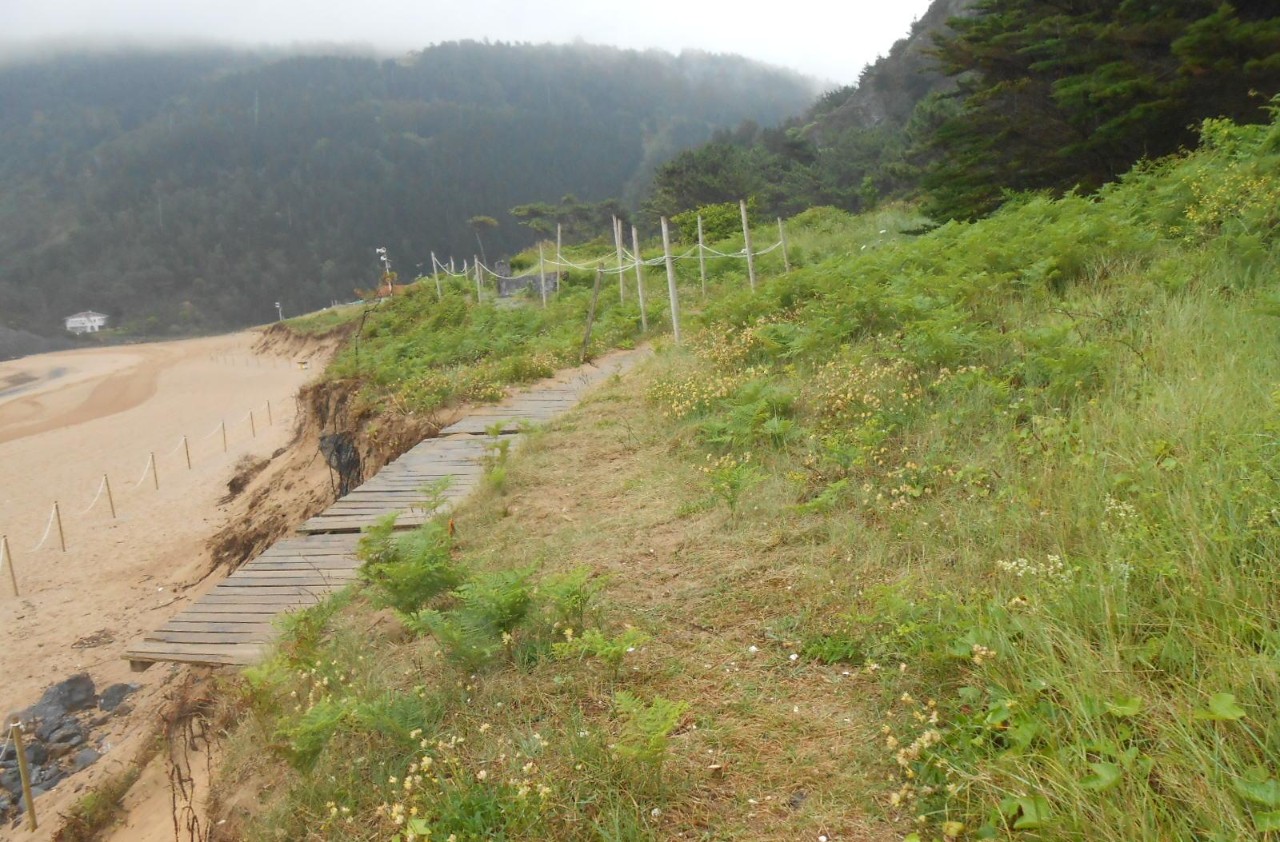 Playa de Laga. Restauración dunar y de accesos