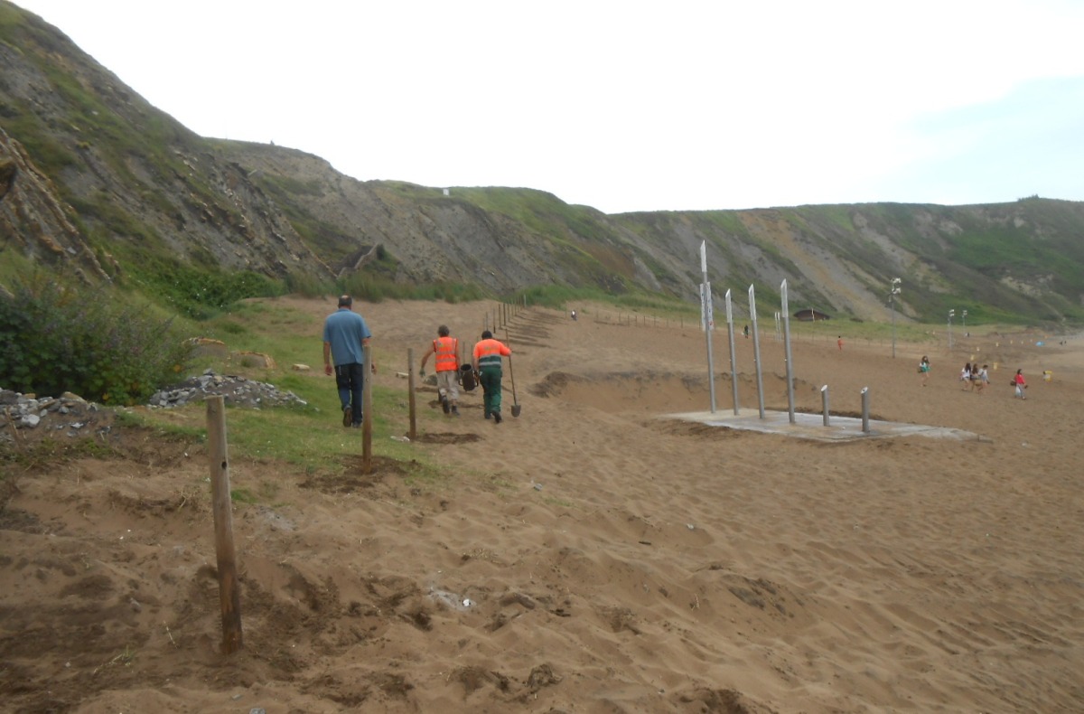 Playa Barinatxe (o La Salvaje). Restauración dunar.