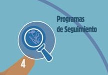 Fase 4 - Programas de Seguimiento