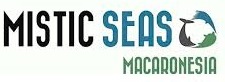Mistic seas logo