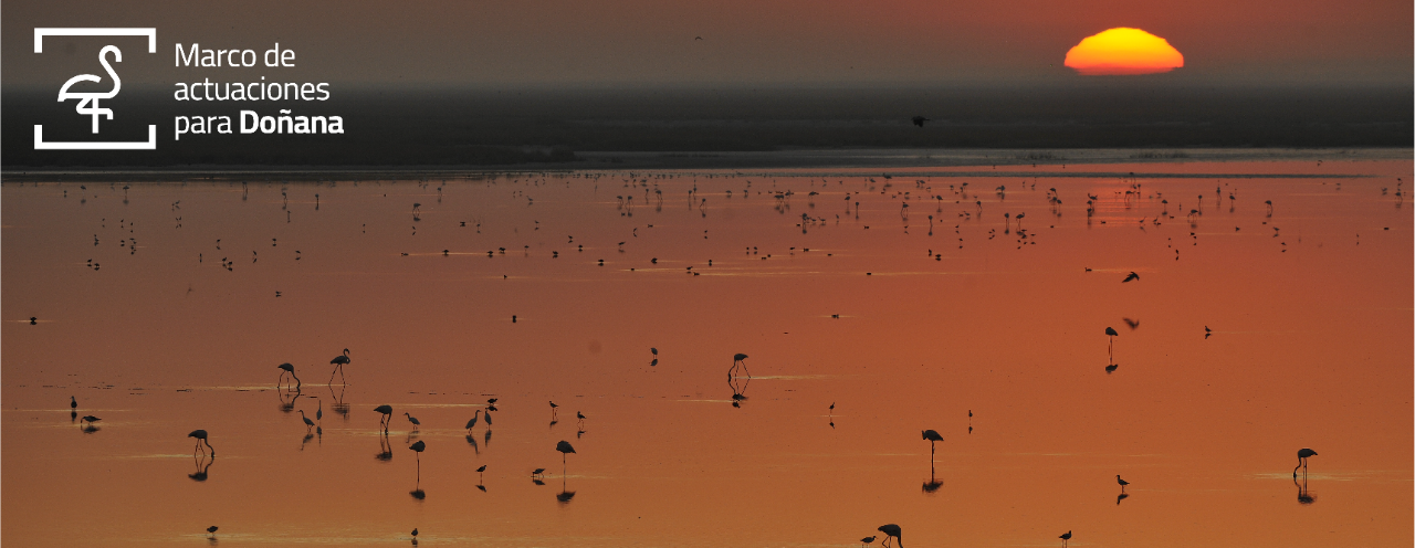 Marco actuaciones para Doñana