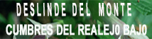 Deslinde del Monte las "Cumbres del Realejo Bajo"