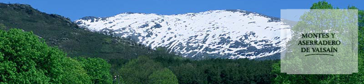 Peñalara y Pinar de Valsaín [Fotografía: A. Moreno]