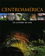 Centroamérica, un corredor de vida