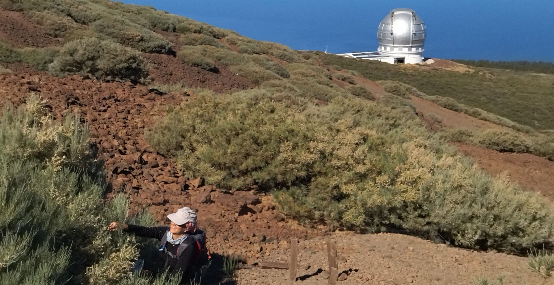 Voluntariado Teide