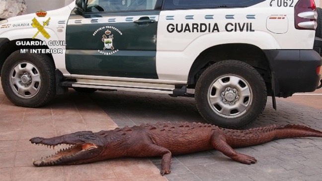 La Guardia Civil detiene a 59 personas en el marco de una Operación de Interpol contra el tráfico de especies.