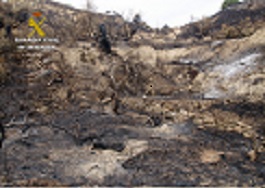 Los incendios forestales causan un enorme daño al medio ambiente, pues además de afectar a la flora y la fauna, causan la degradación del terreno, siendo un factor de erosión.