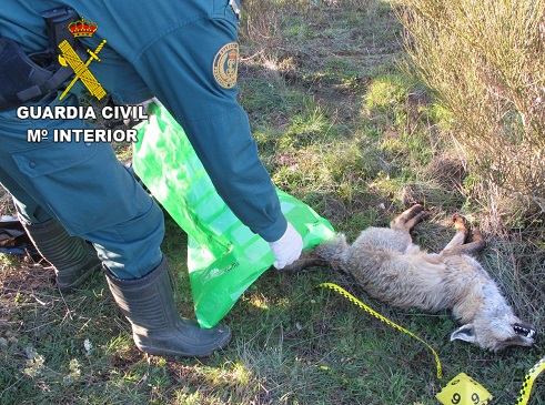 La Guardia Civil investiga a una persona como supuesto autor de un delito relativo a la protección de la flora, fauna y animales domésticos