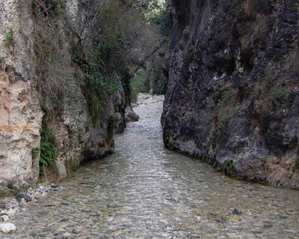 Reserva Natural Fluvial Chíllar