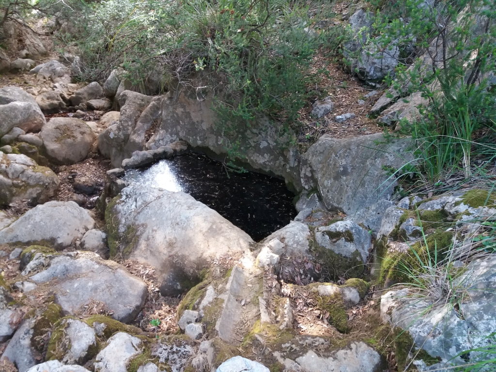Reserva Natural Fluvial Torrent de Comafreda - Picarols