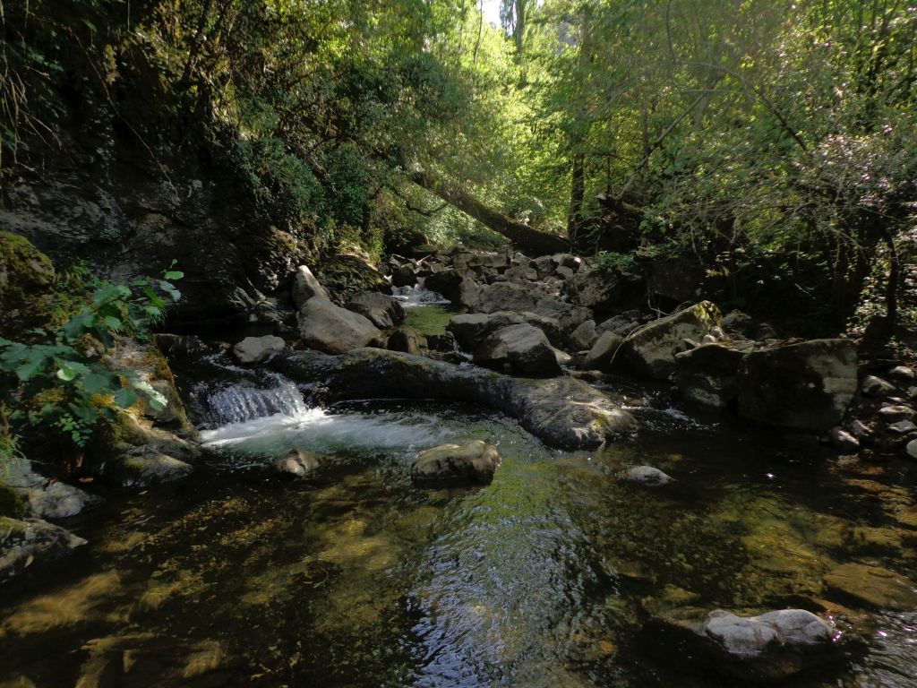 Secuencia de saltos y pozas en la reserva natural fluvial Río Bullón