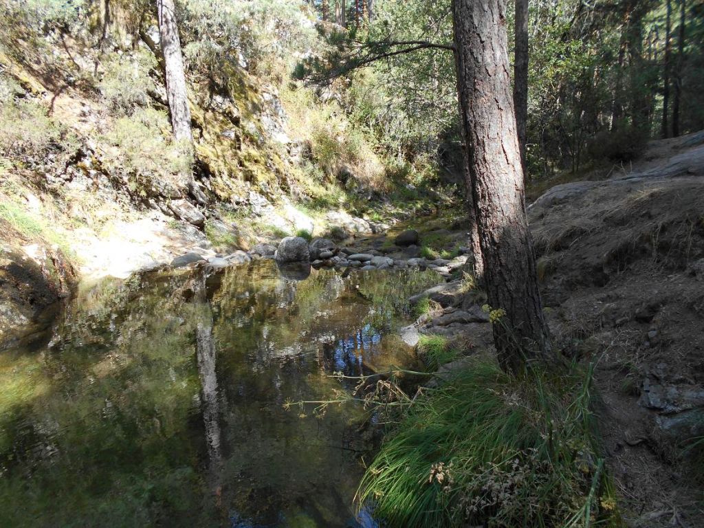 Poza agrandada para facilitar el baño en la reserva natural fluvial Alto Eresma
