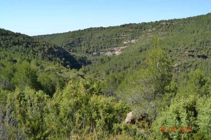 Reserva Natural Fluvial Cabecera del Torrente de Rupit