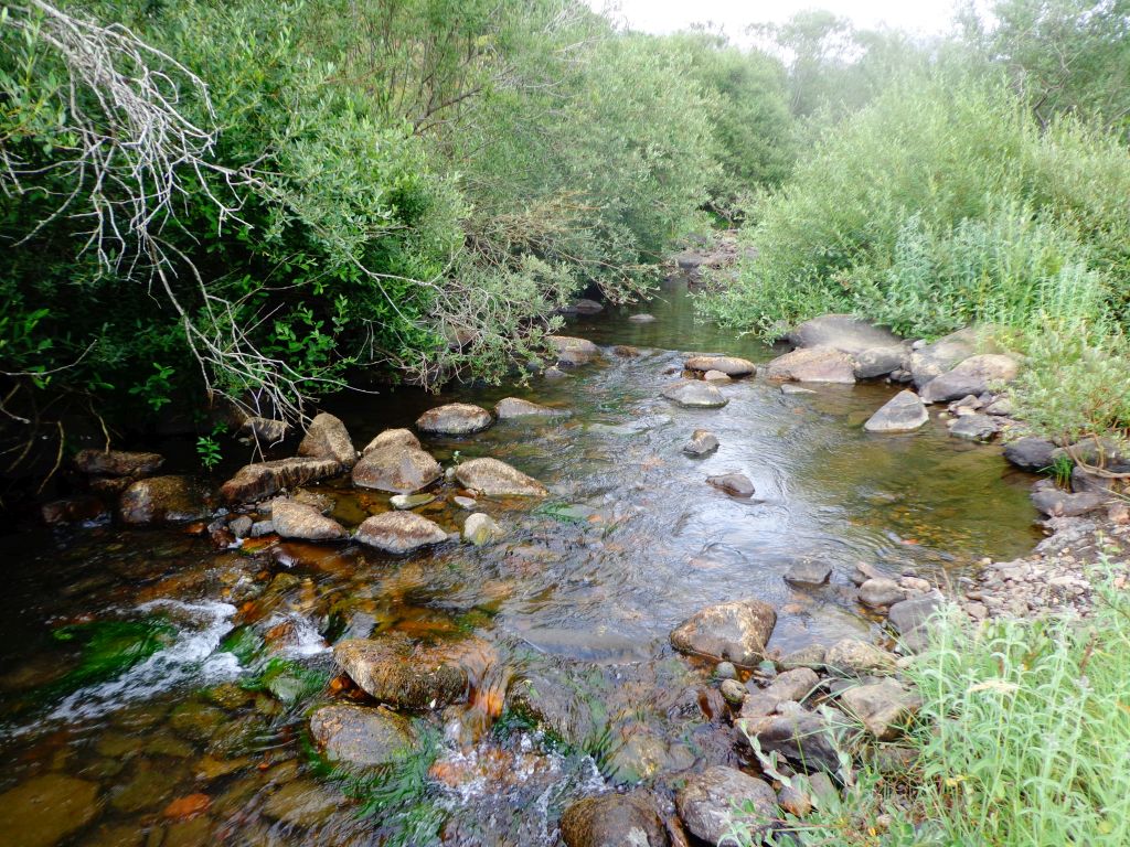 Estructura del lecho del río en grada en la reserva natural fluvial Alto Pisuerga