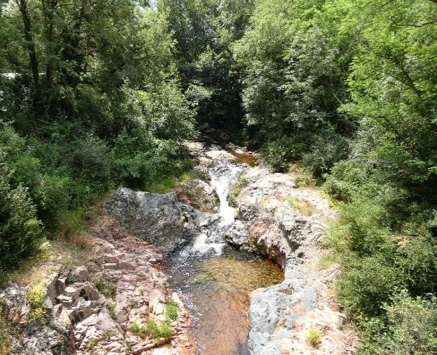 Reserva Natural Fluvial Tramo Medio de la Riera Major