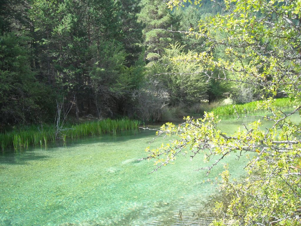 Aguas cristalino verdosas de la reserva natural fluvial Río Hozseca