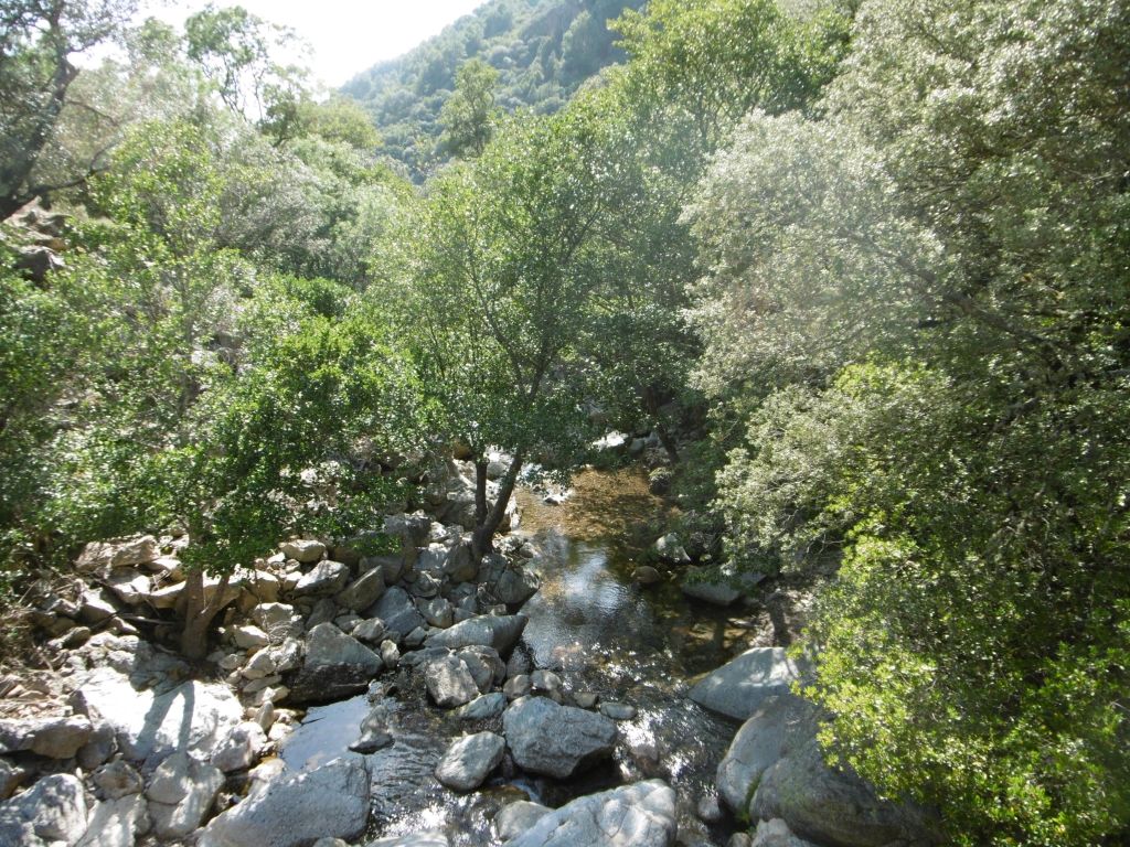 Tramo de la reserva natural fluvial Río Batuecas donde se observa una sucesión de aguas remansadas y rápidos