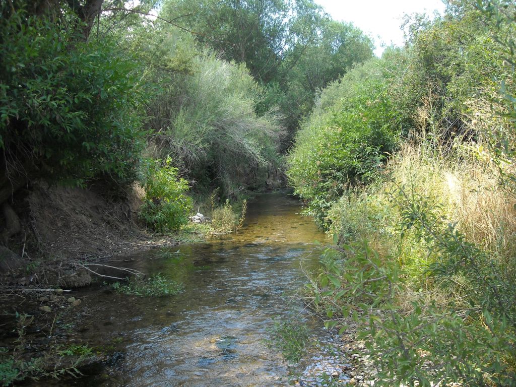 Incisión de las orillas provocada por avenidas en la reserva natural fluvial Río Cuervo