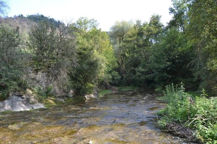 Reserva Natural Fluvial Cabecera de la Riera de Foradada