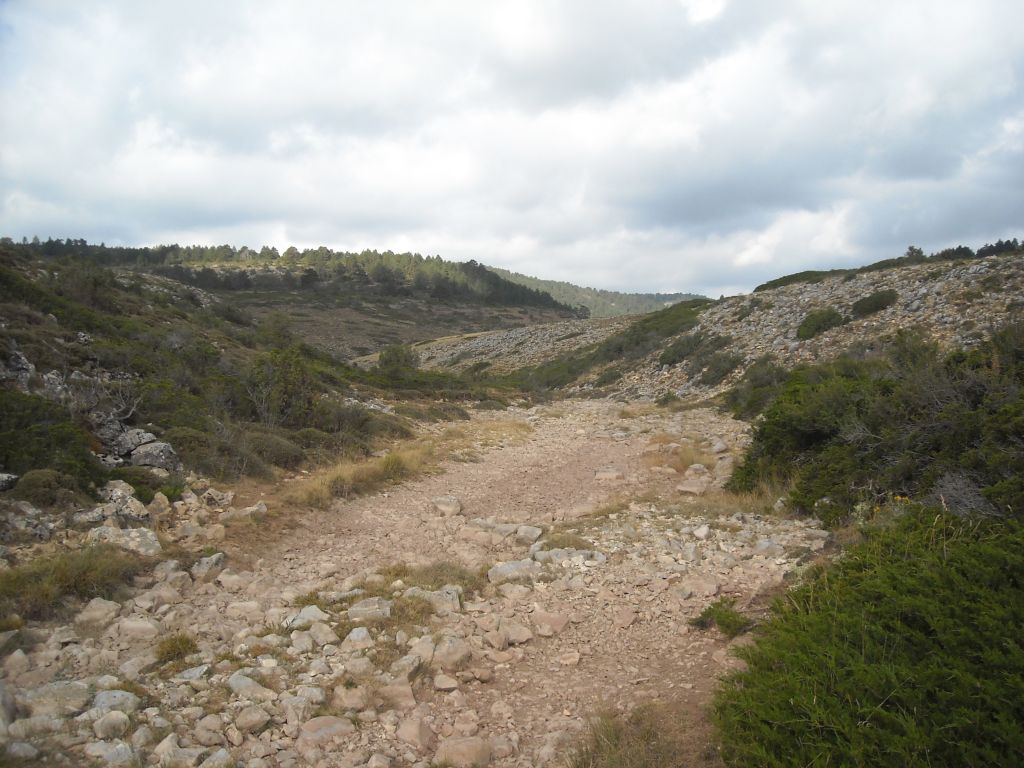 La reserva natural fluvial Arroyo los Huecos discurre sobre el páramo del Alto Tajo