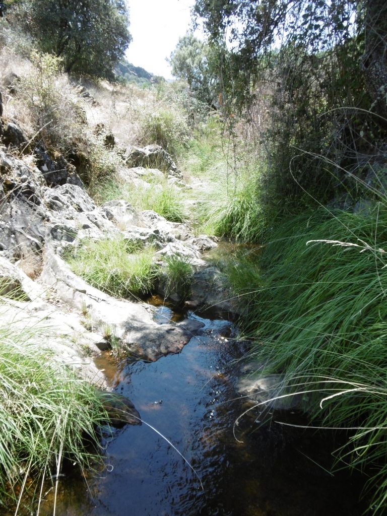El agua desciende cristalina entre las rocas de la reserva natural fluvial Garganta de las Lanchas
