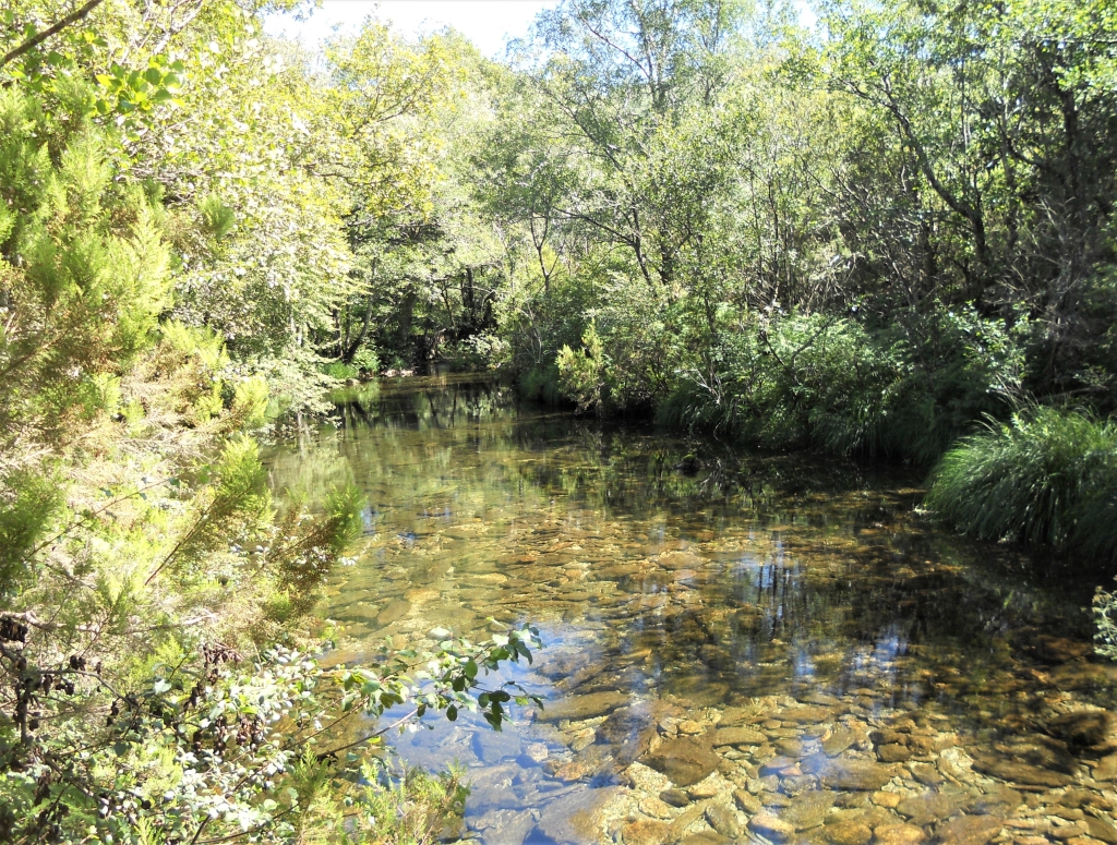 Reserva Natural Fluvial del Río Ulla-Deza. Zona: Deza