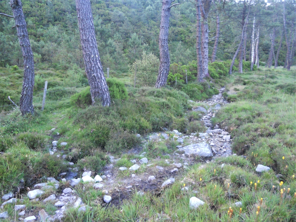 Reserva Natural Fluvial del Río Masma. Zona: Masma I
