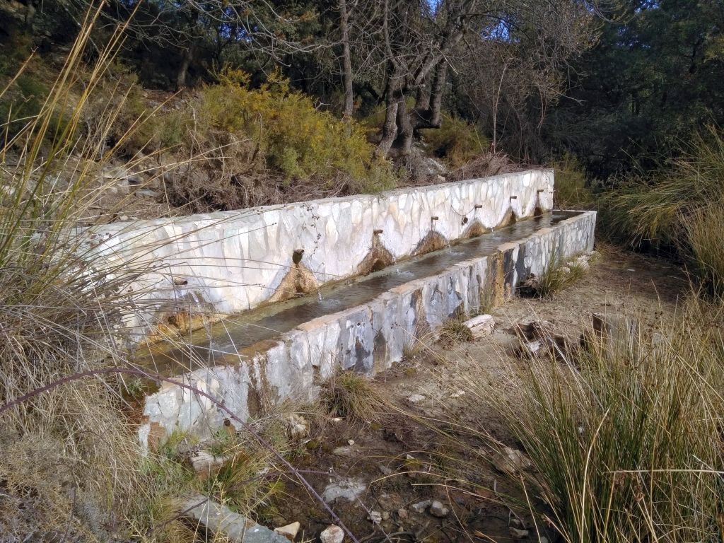 Fuente Sotillo en el Barranco de La Pastora.
