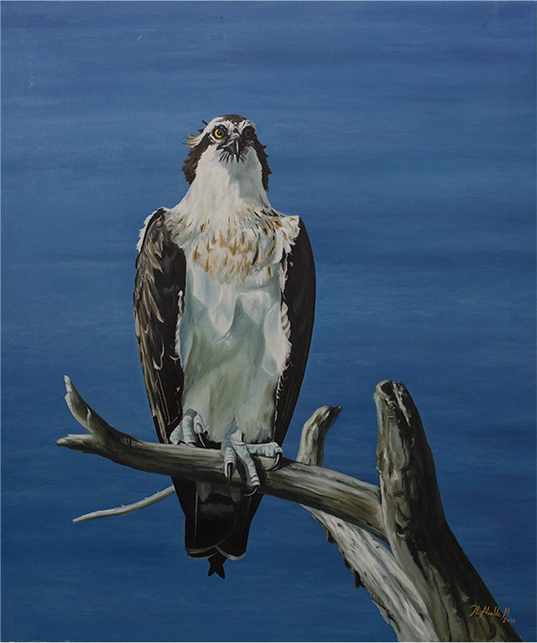 Panel 10. P.N. Cabrera, Águila pescadora, J. Luis Alcalde. Tamaño: 73 cm x 60 cm.