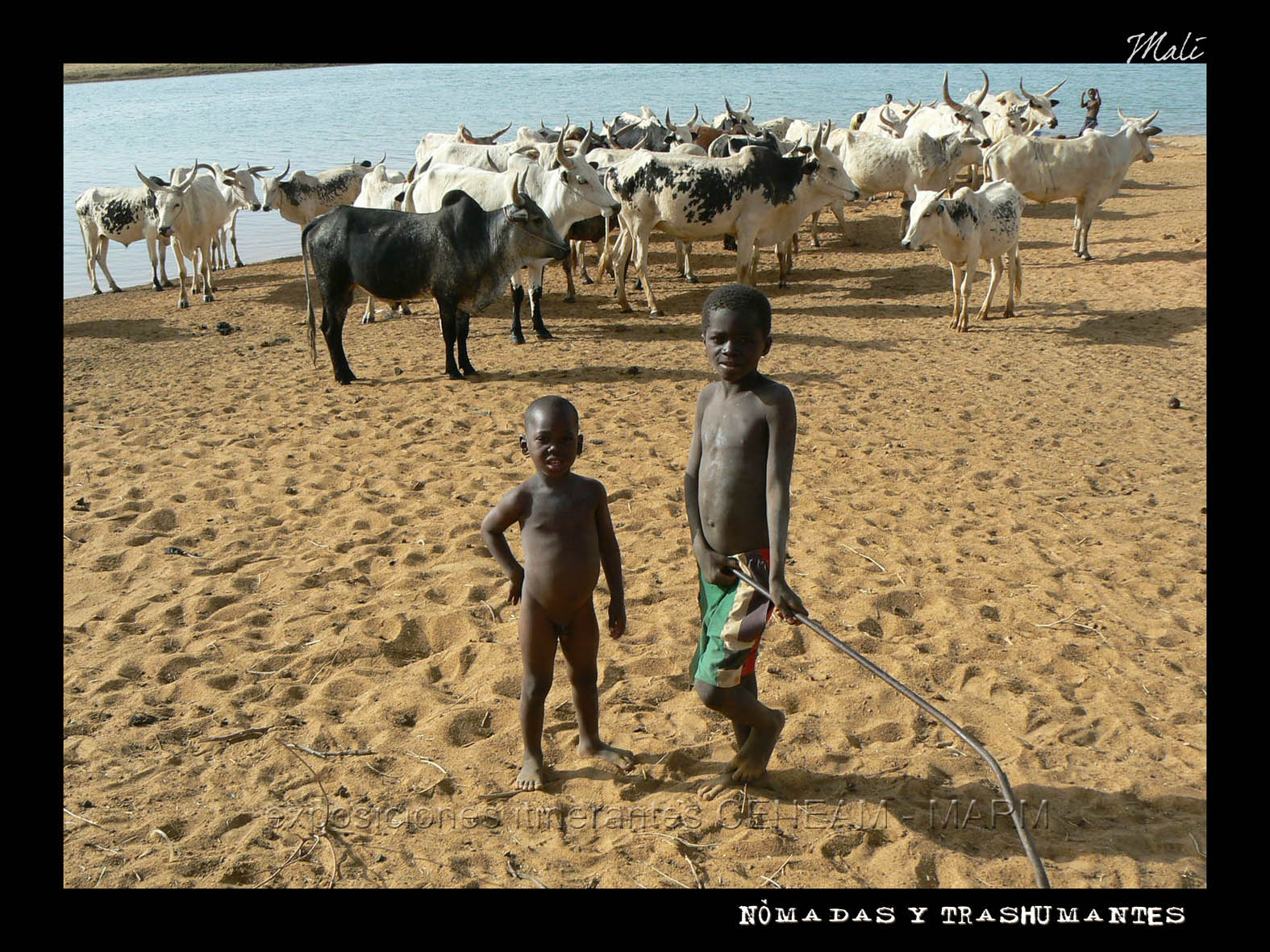 Un par de niños al frente y al fondo el rebaño en Mali