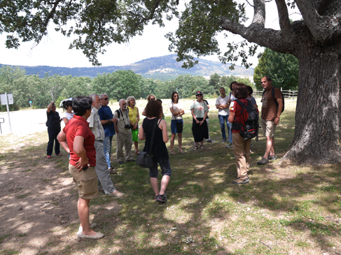 Iniciando un recorrido didáctico por el entorno de Valsaín con Pilar Monterrubio