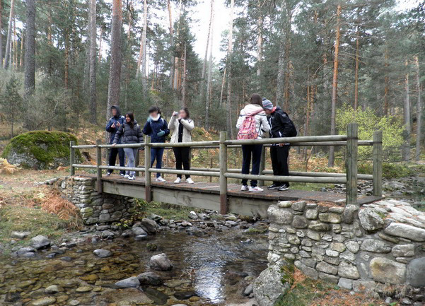 El grupo observa y fotografía el paisaje desde un puente