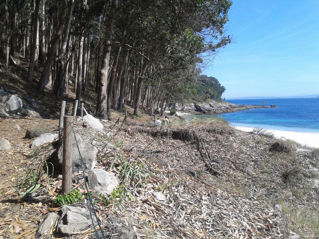 Rampa de acceso a la playa de Filgueira en Cies (T.M. de Vigo). Antes de las obras