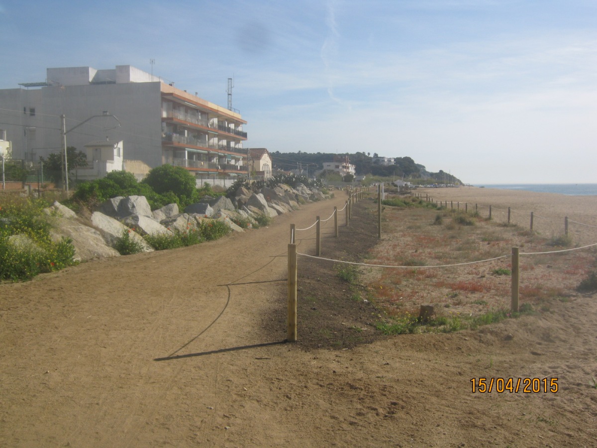 Habilitación de un camino peatonal  y recuperación de zona dunar en la playa del Pla de Sant Crist en Canet de Mar  (Después de las obras)