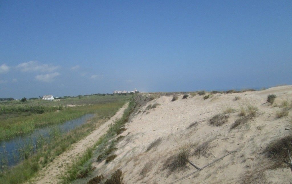 Ejecución de bardisas y plantaciones en la playa del Dossel (Cullera). Antes de las obras