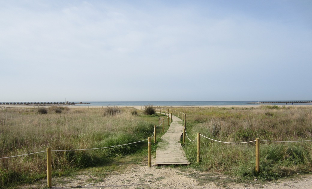 Protección, defensa y renaturalización del cordón dunar de las playas de Cubelles (Después de las obras)