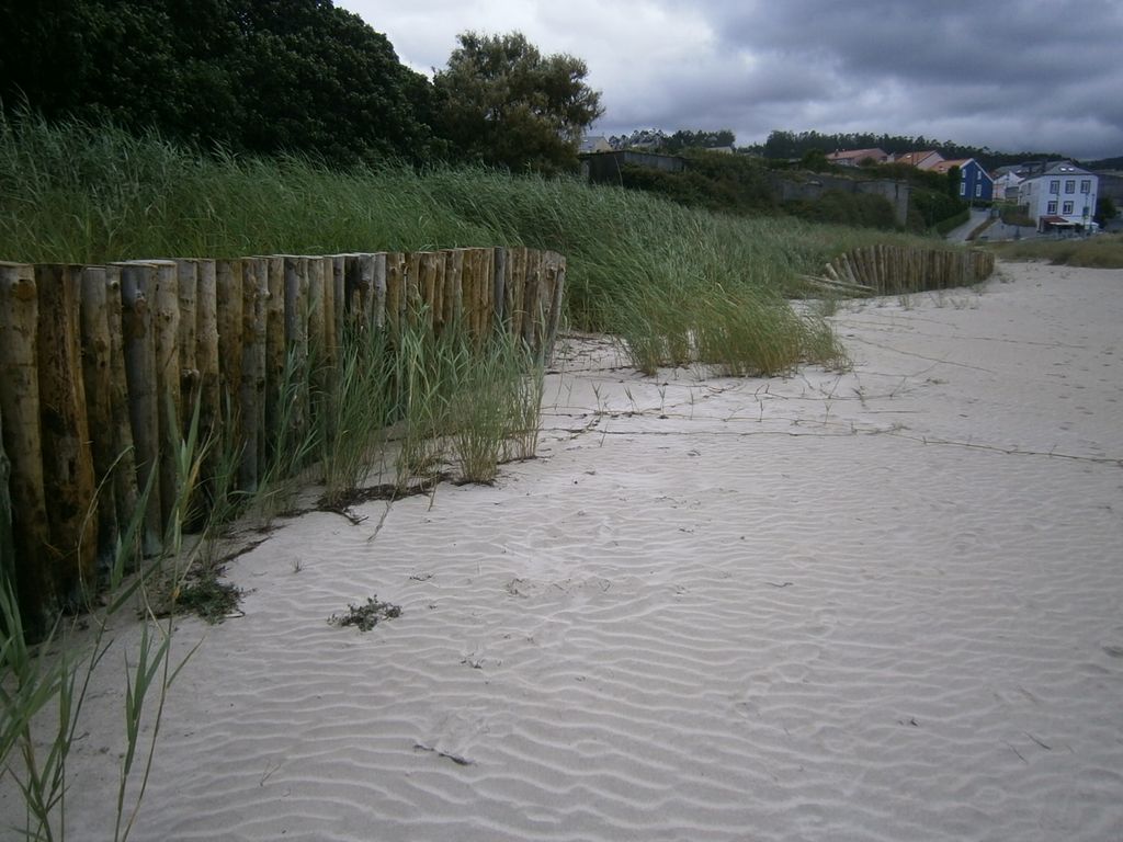 Playa de Espasante. Reparación  de empalizada de pilotes de madera y redistribución de arena (Antes de las obras)
