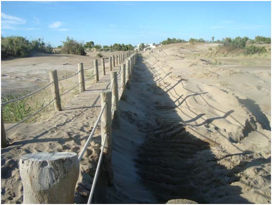 Reposición sistema dunar y pasarelas de acceso en la playa de Riumar (T.M. Deltebre. Después de las obras)