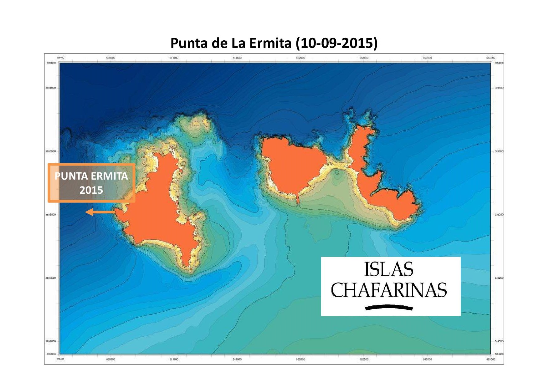 Resumen de las observaciones realizadas en cada metro de profundidad en Punta de la Ermita (Chafarinas). Autor: Luis Sánchez Tocino. Universidad de Granada