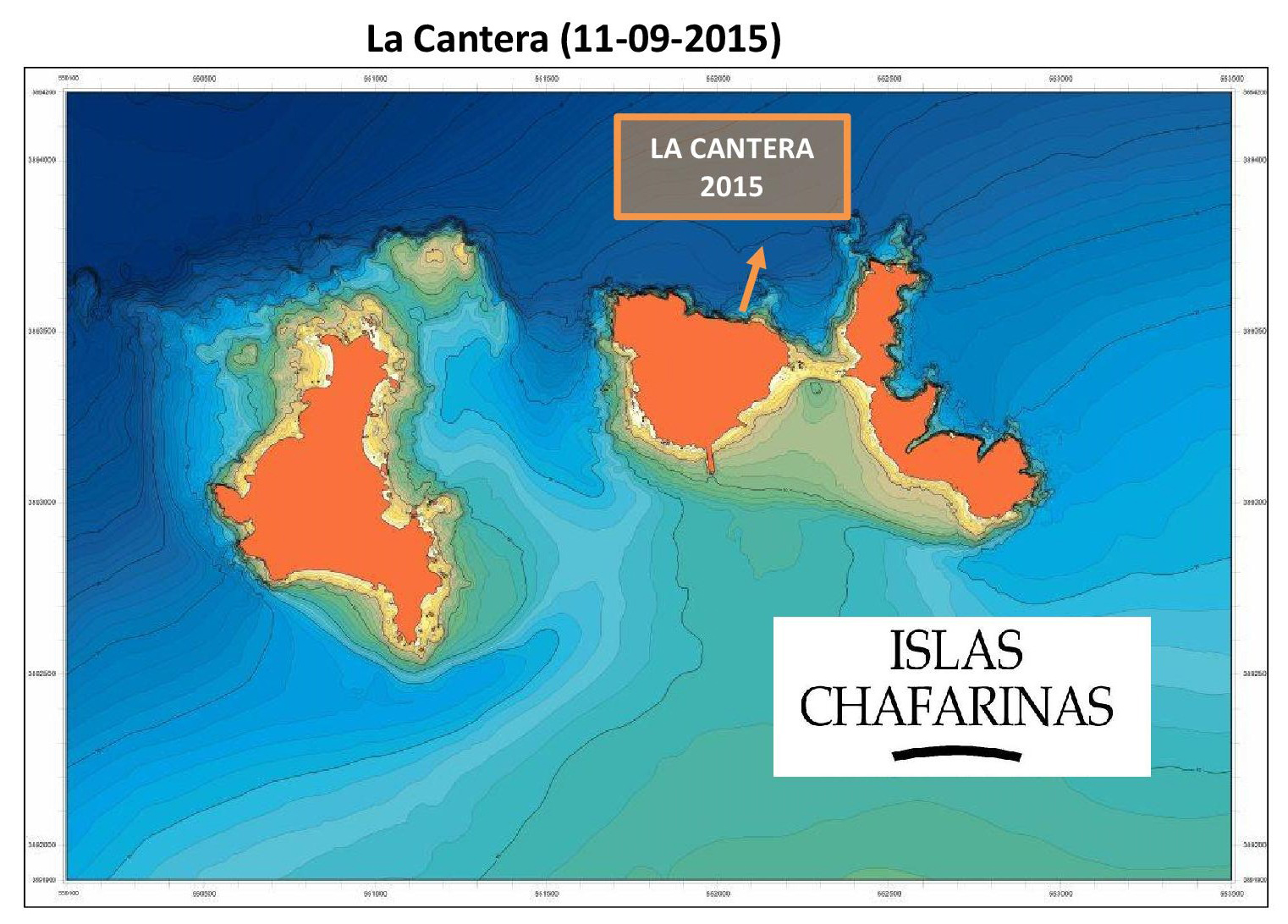 Resumen de las observaciones realizadas en cada metro de profundidad en La Cantera (Chafarinas). Autor: Luis Sánchez Tocino. Universidad de Granada