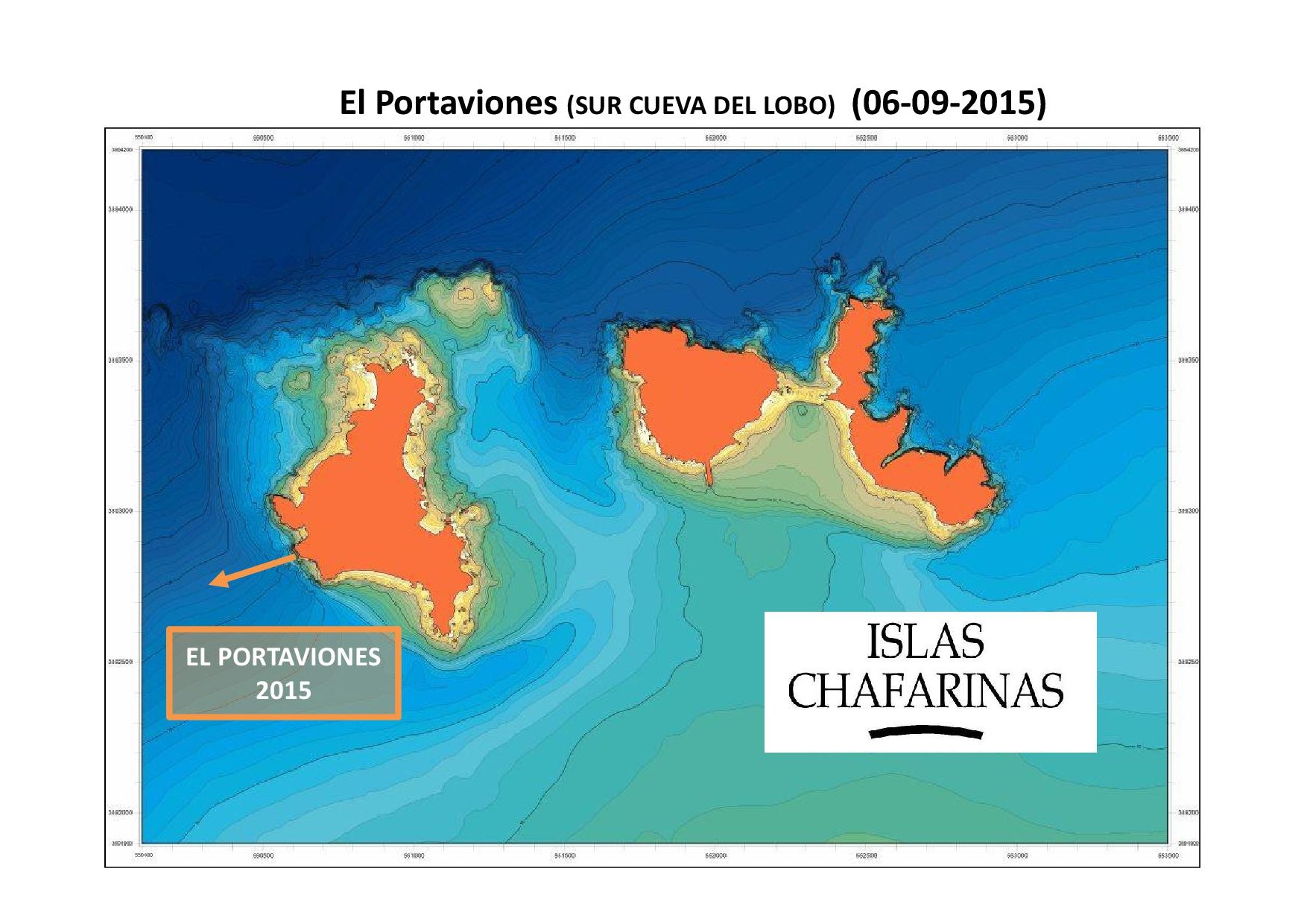 Resumen de las observaciones realizadas en cada metro de profundidad en El Portaviones (Chafarinas). Autor: Luis Sánchez Tocino. Universidad de Granada