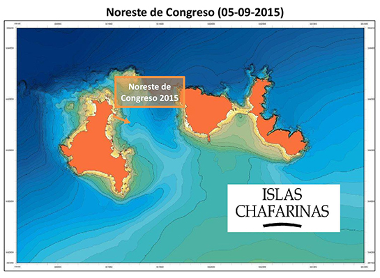 Resumen de las observaciones realizadas en cada metro de profundidad en Noreste del Congreso (Chafarinas). Autor: Luis Sánchez Tocino. Universidad de Granada