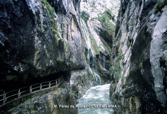 La Ruta del Cares, es una de las sendas más conocidas y frecuentadas de los Picos de Europa. Discurre entre La provincia de León y la comunidad autónoma de Asturias.