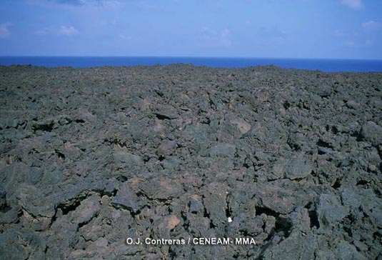 Los campos de lava o malpaises constituyen unas de las unidades paisajísticas más extensas del parque.