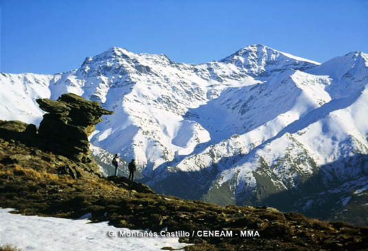 Sierra Nevada es la cordillera con las cumbres más altas de la Península Ibérica. El pico de mayor altura es el Mulhacén con 3.479 metros.