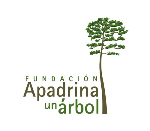 Fundacion Apadrina Un Arbol