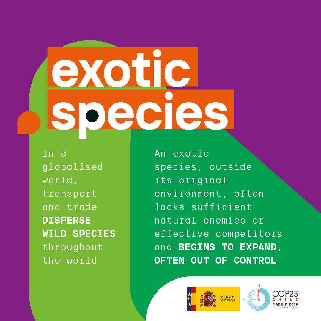 Exotic species