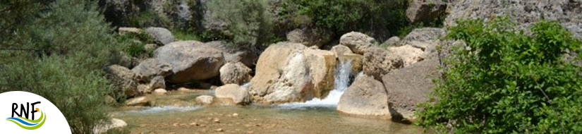 Reserva Natural Fluvial Tramo Alto del Aigua d'Ora