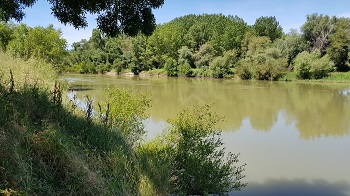 El río Ebro (Alfaro)