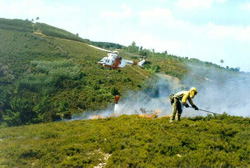 Brigada de extinción de incendios forestales trabajando. Autor: ADCIF